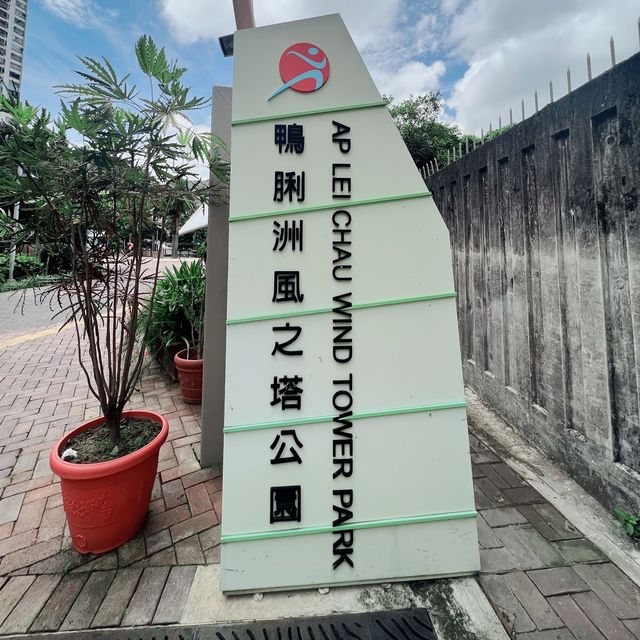 南區漁港主題公園，賞花💐好去處