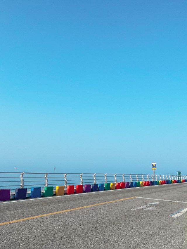 강원도에도 무지개해안도로가 있다?!?🌈