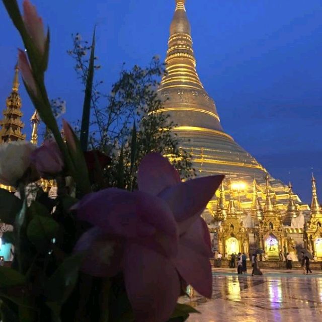 #shwedagon #pagoda #yangon #myanmar