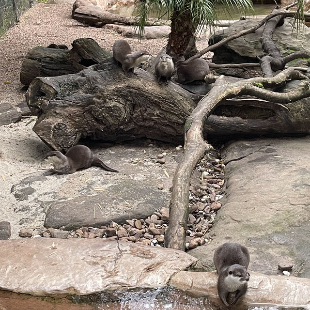 Adelaide Zoo