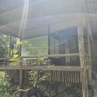 【京都】苔が美しい完全予約制のお寺