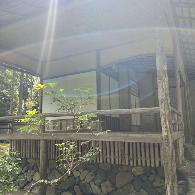 【京都】苔が美しい完全予約制のお寺