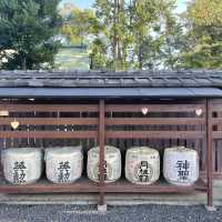 【京都府】永遠の美を授かれる美人神社を参拝！