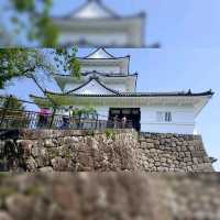 Beautiful Medieval Japanese Castle