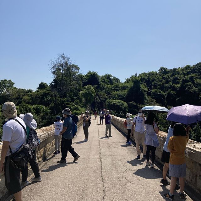 水務署 滴滴遊蹤到賞團