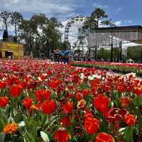 FLORIADE - a celebration of spring