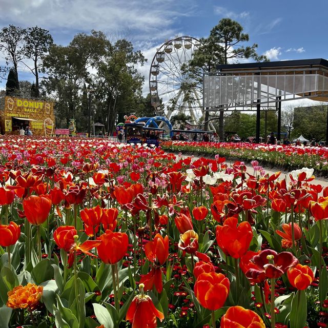 FLORIADE - a celebration of spring