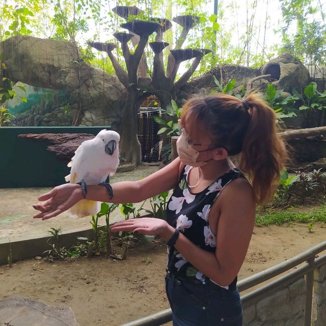 Davao Crocodile Park and Zoo 🐾