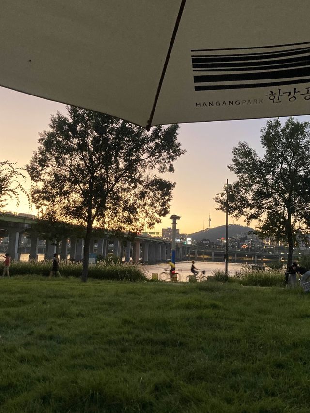 한강공원에서 피크닉하기⛱🧃