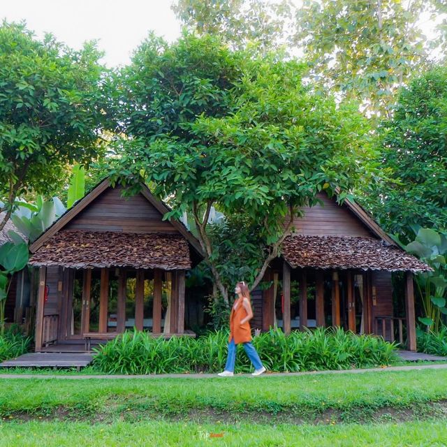 ที่พักเชียงดาว นอนชิล ฟิลธรรมชาติ