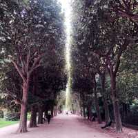 Garden of Plants in Paris 