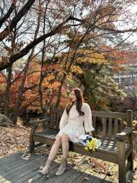 서울 단풍여행은 서울대로🍁