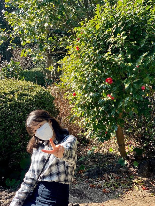 꽃내음 가득한 제주도 카멜리아힐 🌺