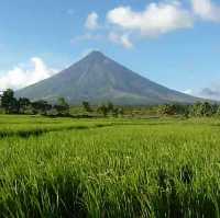 Feel The Warmth of Albay 🌟