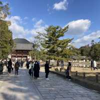 接近原貌嘅東大寺