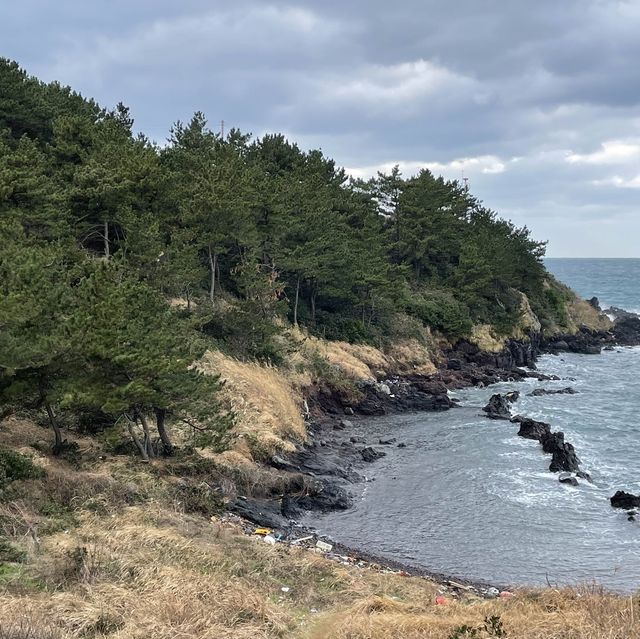 옛 조상들의 지혜를 엿볼 수 있는 원담🐟