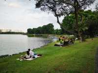 Jurong Lake Floating Wetlands - Part 1