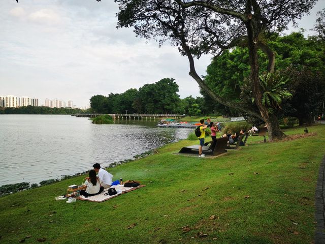 Jurong Lake Floating Wetlands - Part 1
