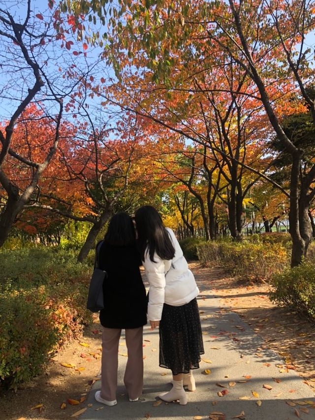 단풍보러 선유도공원 🍁