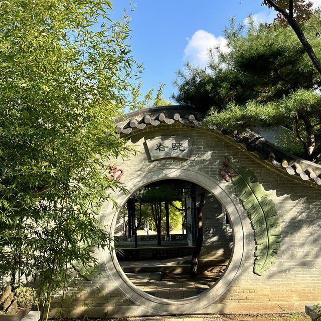 한껏 가을을 만끽할 수 있는 수원 월화원!🍂