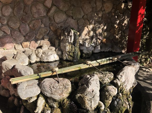 【大分】海地獄が見える！白龍稲荷大神⛩