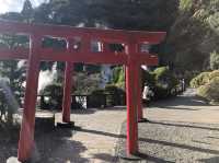 【大分】海地獄が見える！白龍稲荷大神⛩