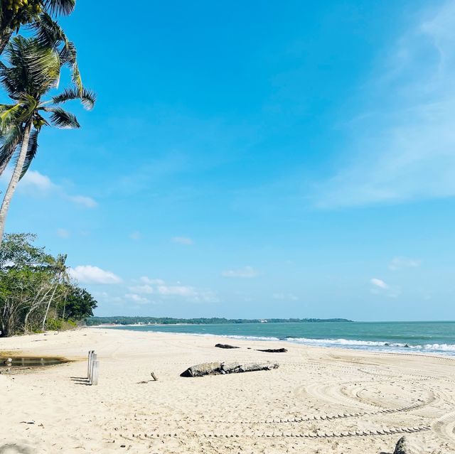 Best Time To Go Desaru