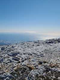 [제주도] 한라산 눈꽃 가득한 겨울 산행 ☃️❄️🌨🥶🤍