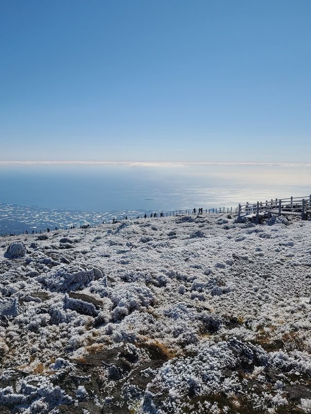 [제주도] 한라산 눈꽃 가득한 겨울 산행 ☃️❄️🌨🥶🤍
