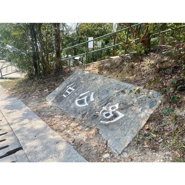 征服香港第二高山峰⛰️-鳳凰山