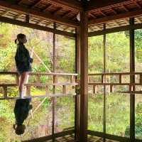 国指定登録有形文化財【青林寺客殿　御便殿　御座所】✨