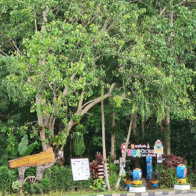 AmazingThailand Unseen พระผุด