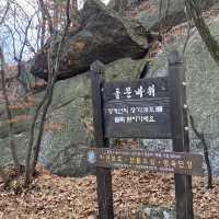 가볍게 오르기 좋은 등린이 추천산 , 청계산⛰