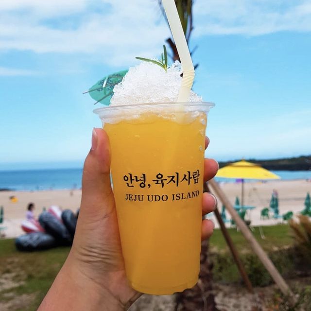  성산 제주당일치기 맛집/카페 추천!💛