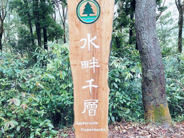 水畔千層