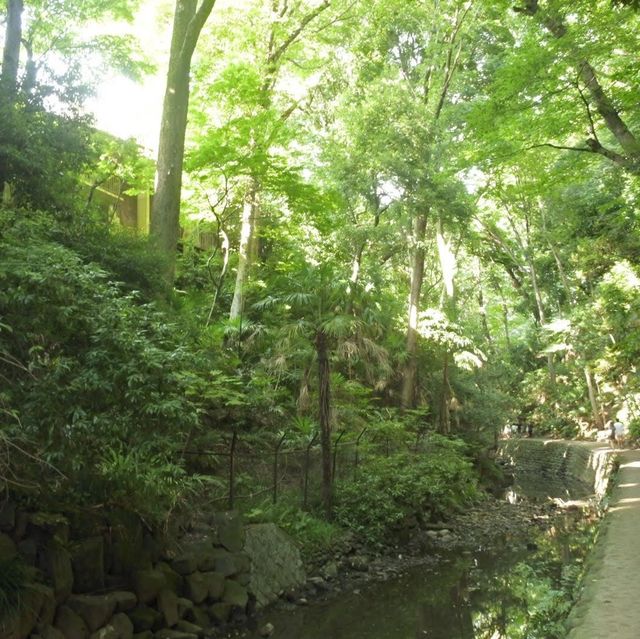 東京の等々力渓谷