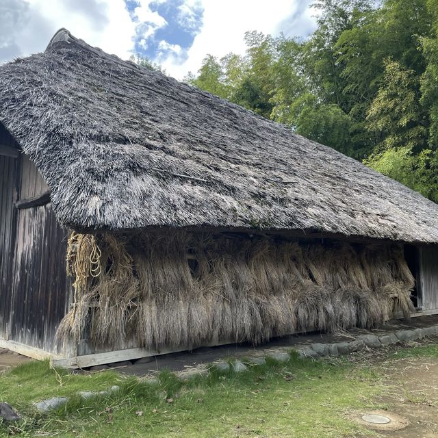 【神奈川県】日本民家園で和に触れる