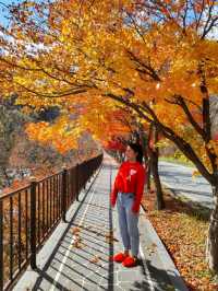 경남 거창 도시숲죽전공원, 분설담은 단풍놀이 숨겨진 명소🍂🍁