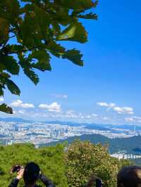 등린이 입문으로 추천하는 청계산⛰