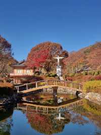 단풍명소 배론성지 🍁