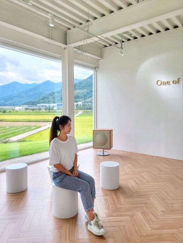 경남 창녕카페 원오브🏡논뷰보며 마시는 커피가 일품!