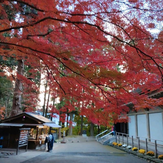 岩手県！中尊寺金色堂の旧覆堂と紅葉