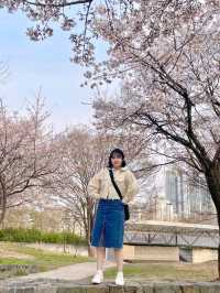 [서울숲편] 벚꽃 인생샷 🌸