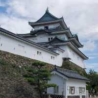 日本和歌山城公園動物園