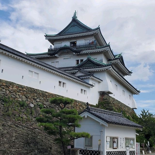 日本和歌山城公園動物園