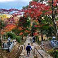 室町時代からの歴史的文化財も多数【二尊院】✨