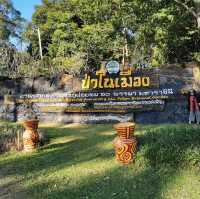 อุทยานธารงาม-ภูฝอยลม