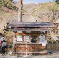 🗻SAIKO Iyashi no sato NENBA
