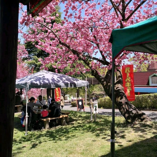 自1970年開既～群馬縣伊香保グリーン牧場