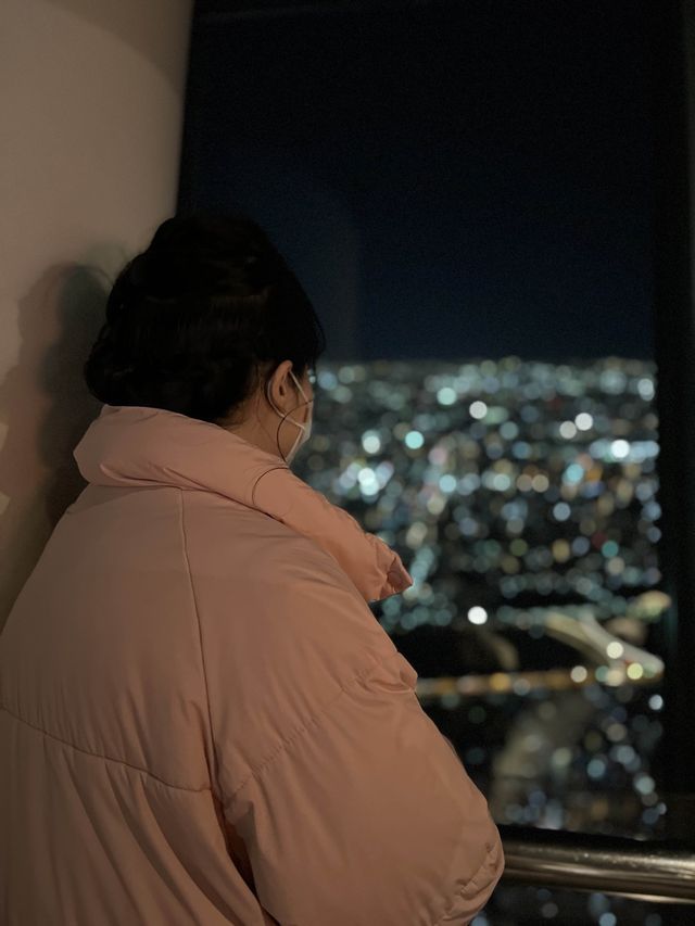 세계에서 가장 높은 전망대, 스카이트리